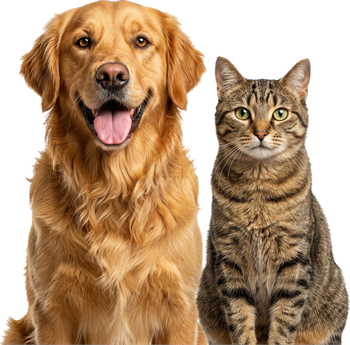 Sagala Satwa Pets